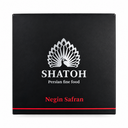 SHATOH Persian Fine Food Metalldose Rund Aufbewahrungsdose Schwarz Silber
