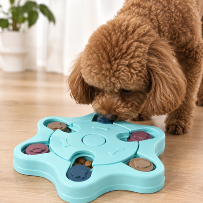 Romeo Intelligenzspielzeug für Hunde Interaktiver Futterspender & Leckerli-Spiel Denkspiel Hund